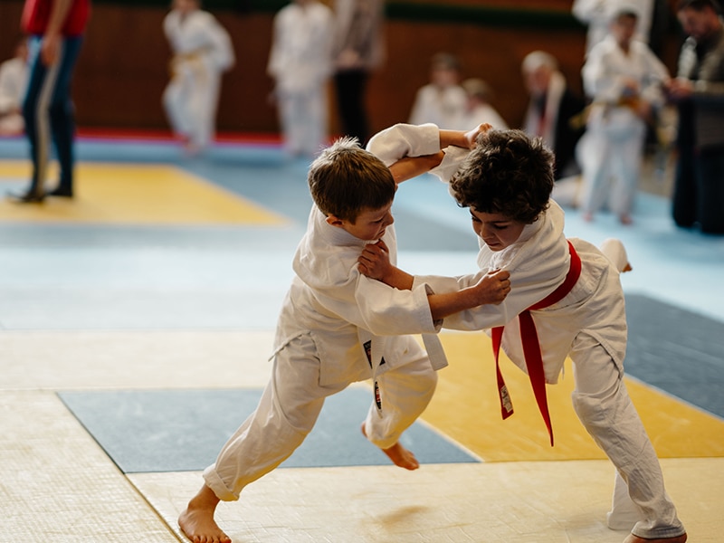 SV Guending e.V. – 100 Athleten beim 10. GDB Turnier im Judo Bodenkampf und Sumo 2
